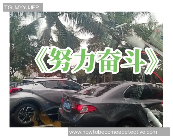 罗凯文：从平凡到卓越的奋斗之路与人生启示